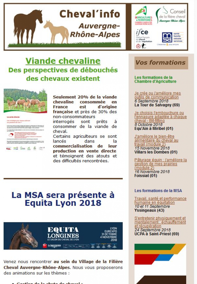 Couverture_Cheval_Info_22.JPG